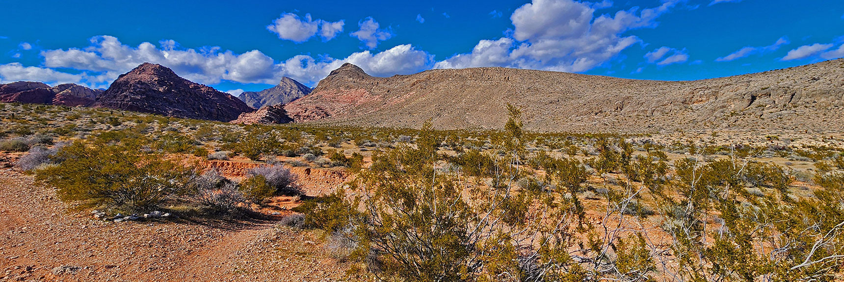 View Back to Gray Cap Ridge (right), Gateway Canyon and Turtlehead Peak | Calico Basin Daily Workout Trails | Calico Basin, Nevada