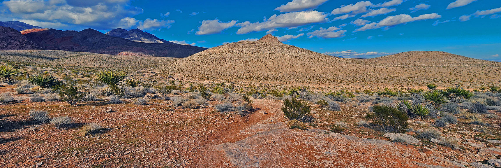 View Back to Peak 3844 and Half Wilson Trail While Approaching Gene's Trailhead | Calico Basin Daily Workout Trails | Calico Basin, Nevada
