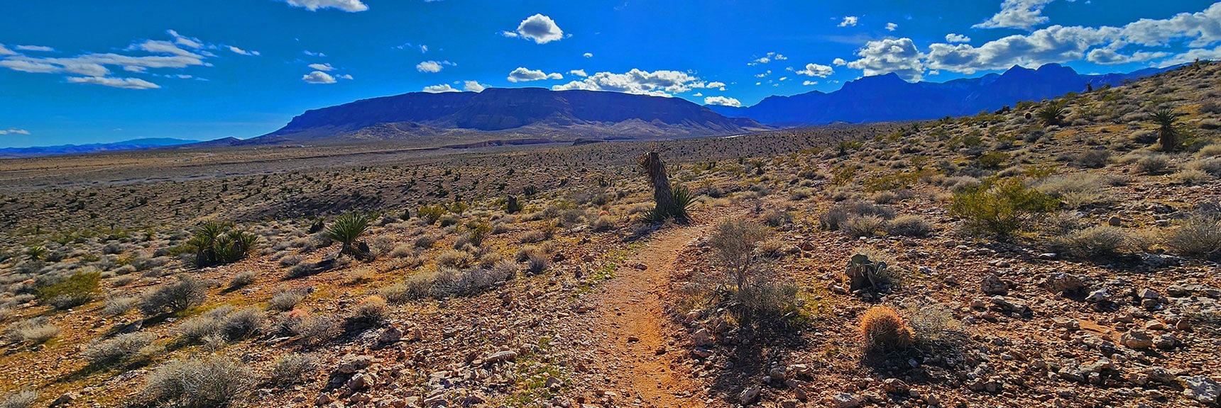 Continue on Half Wilson Trail Aiming Toward Blue Diamond Hill and Rainbow Mts. | Calico Basin Daily Workout Trails | Calico Basin, Nevada
