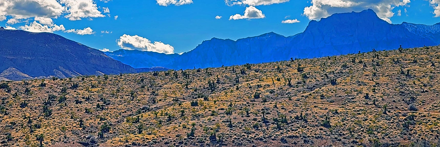 Cross Final Ridge Before Gene's Trailhead | Calico Basin Daily Workout Trails | Calico Basin, Nevada