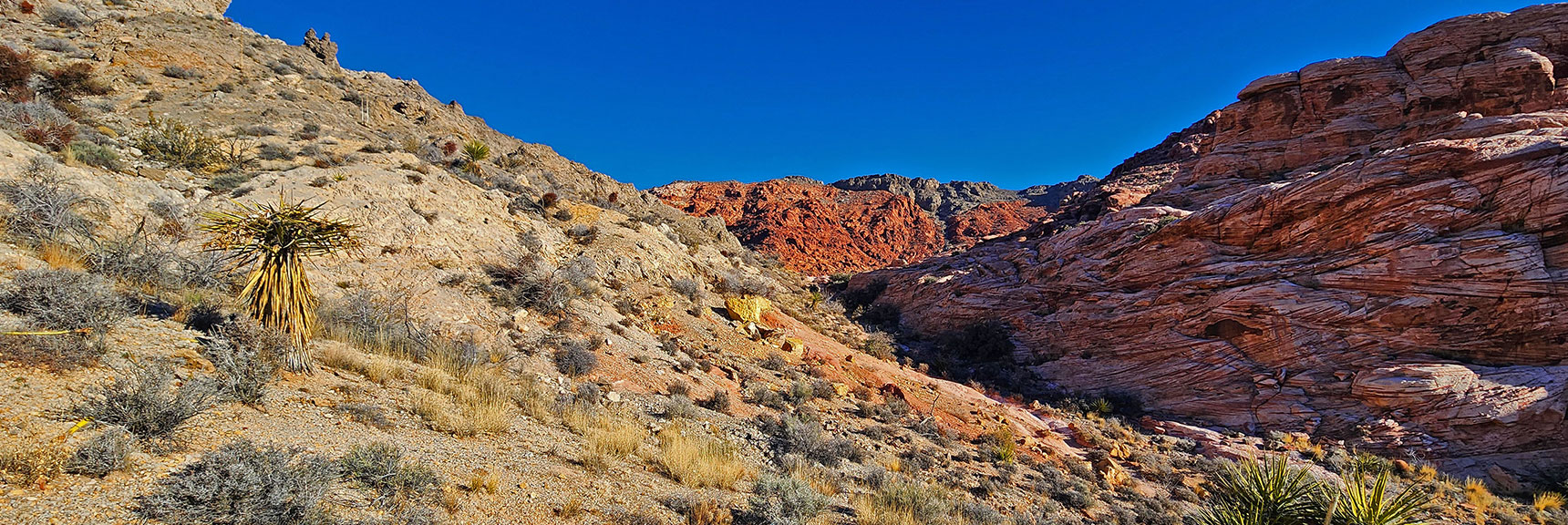 Pink Goblin Pass Summit Just Ahead | Pink Goblin Loop | Calico Basin, Nevada