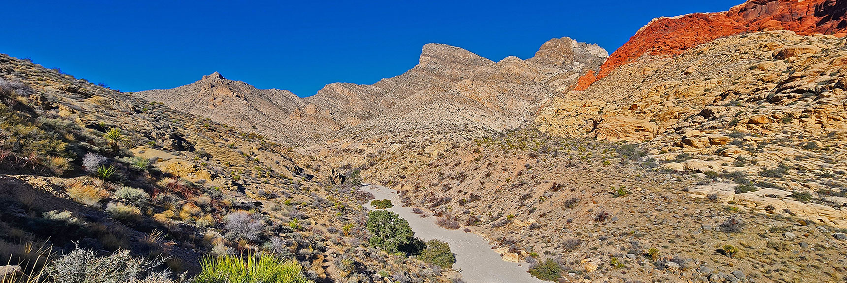Head Up Gateway Canyon. Left Turn Before Hill Left of Turtlehead Peak | Pink Goblin Loop | Calico Basin, Nevada