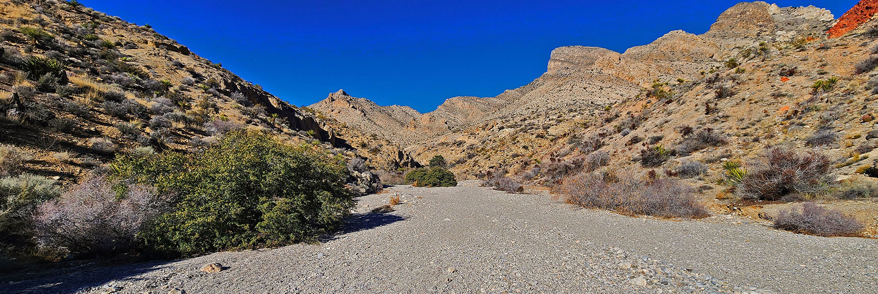 Rattlesnake Gulch Will Be Just Before Tall Hill Ahead on Left | Pink Goblin Loop | Calico Basin, Nevada