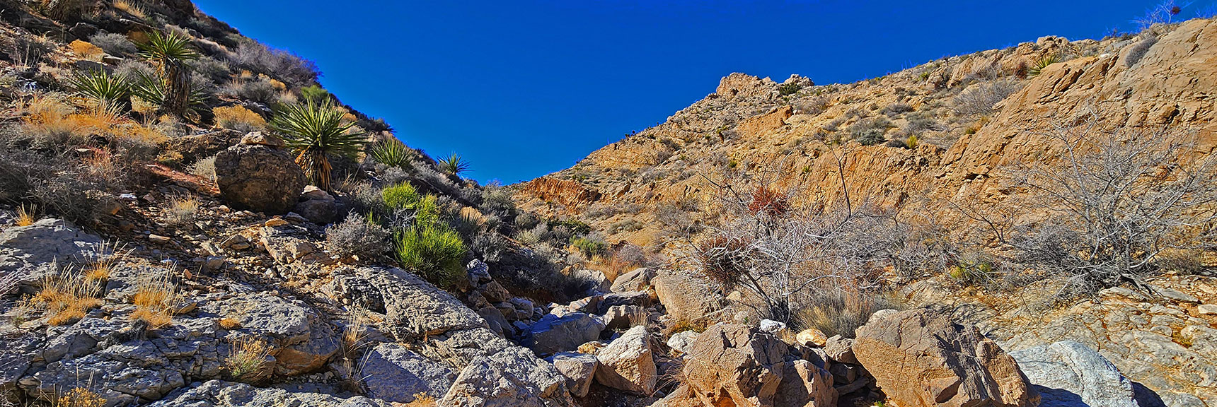 Entering Rattlesnake Gulch | Pink Goblin Loop | Calico Basin, Nevada