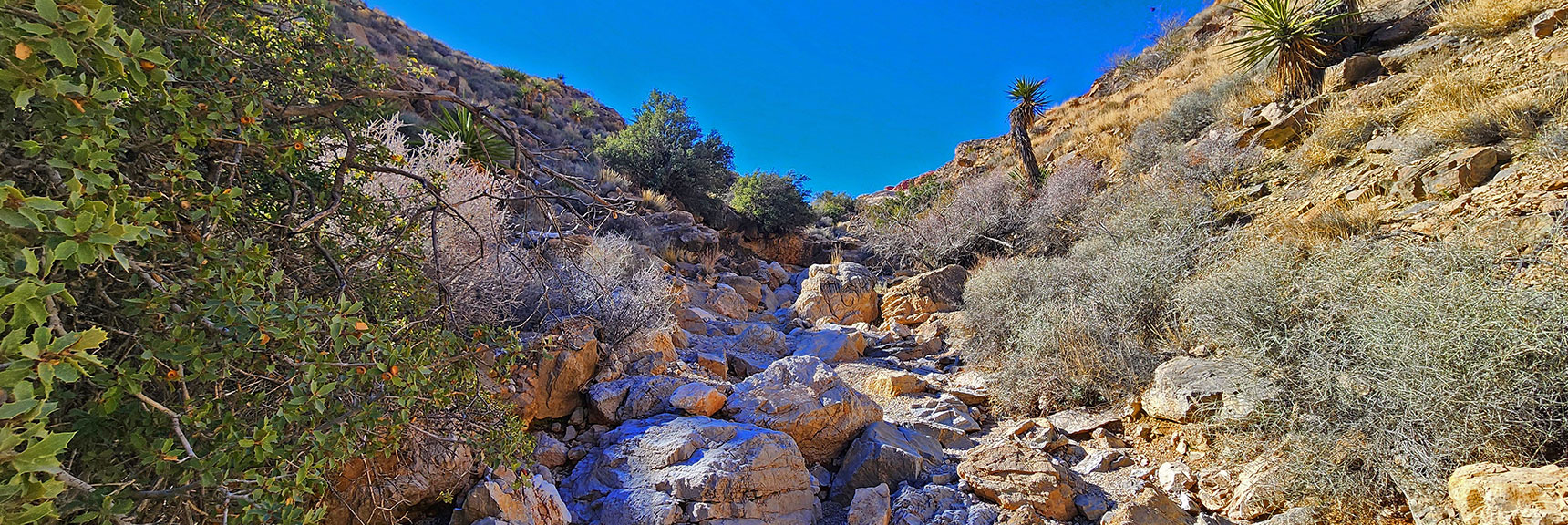 Light Rock Scrambling, More Like High Steps. | Pink Goblin Loop | Calico Basin, Nevada