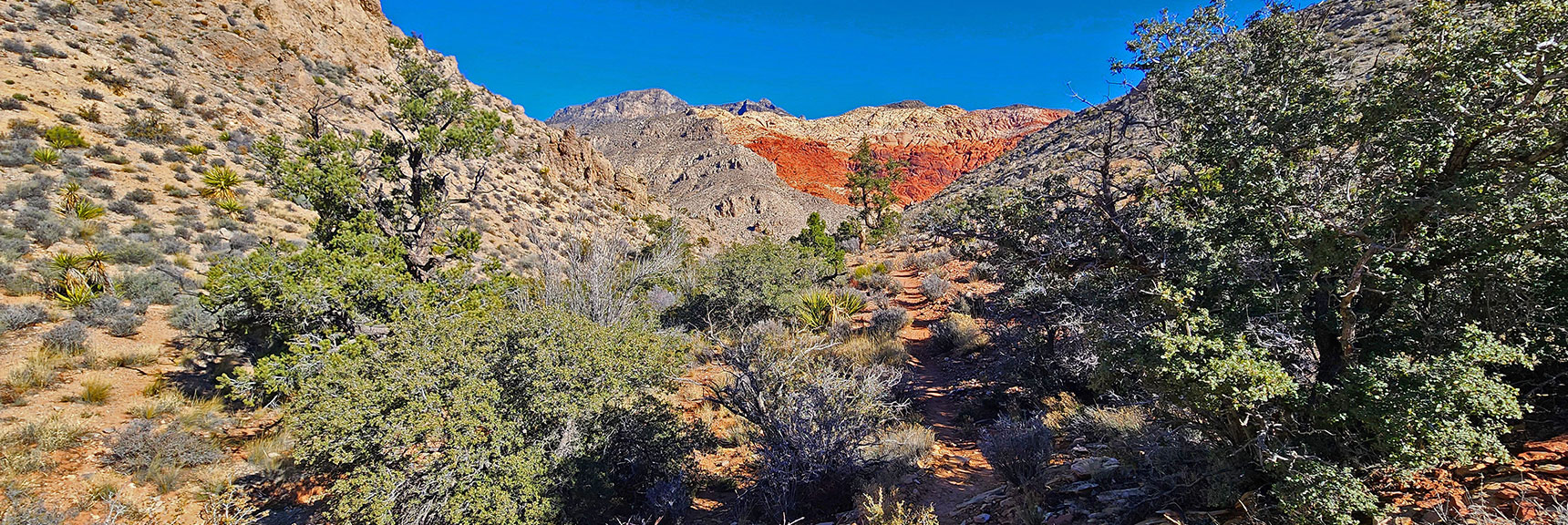 View Back Down Rattlesnake Trail and Gulch to Gateway Canyon. | Pink Goblin Loop | Calico Basin, Nevada