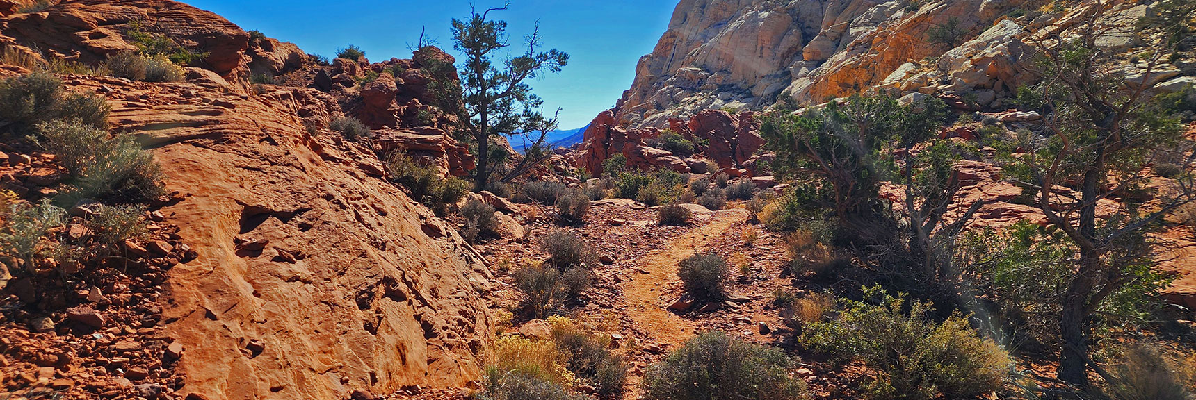 Entering Spectacular Sculpted Sandstone Entrance to Upper Ash Canyon | Pink Goblin Loop | Calico Basin, Nevada