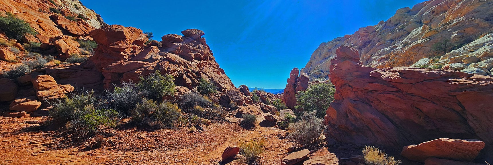 Combination of Aztec Red Sandstone Formations and Scattered Plants is Incredible | Pink Goblin Loop | Calico Basin, Nevada