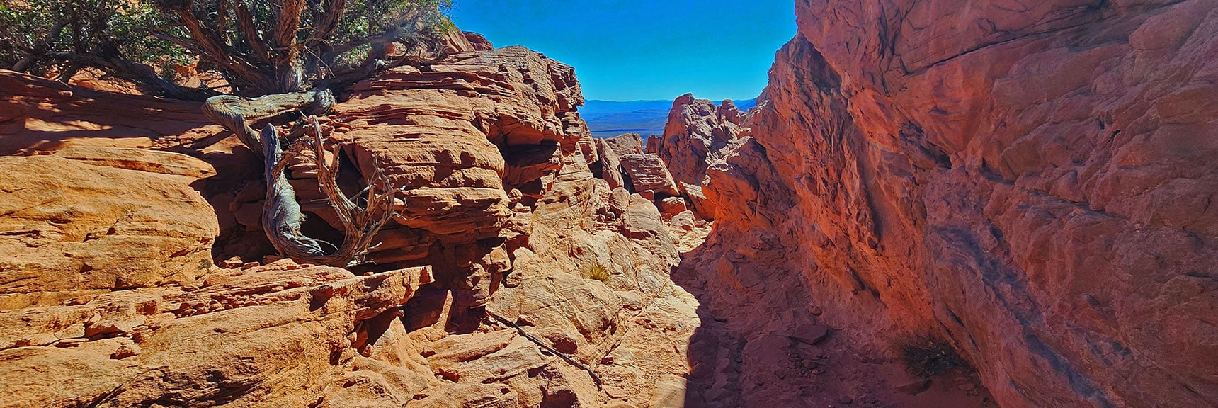 Aztec Red Sculpted Sandstone from Ancient Jurassic Era Frozen Sand Dunes | Pink Goblin Loop | Calico Basin, Nevada