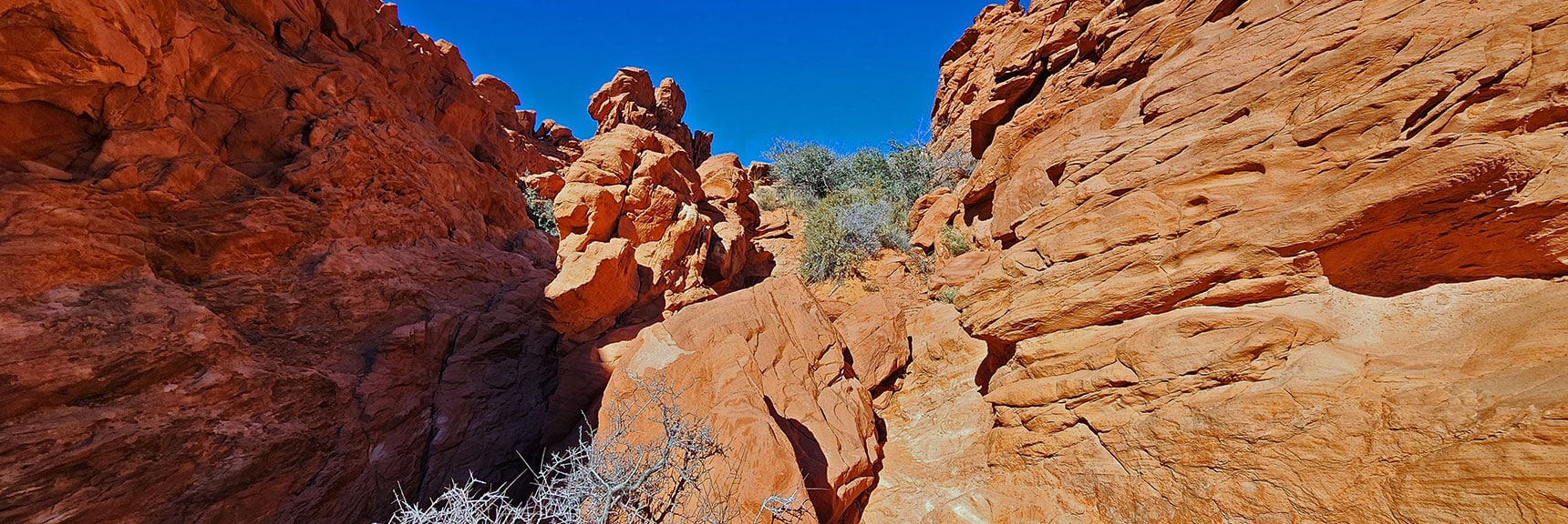 View Back Through the Sandstone Corridor | Pink Goblin Loop | Calico Basin, Nevada
