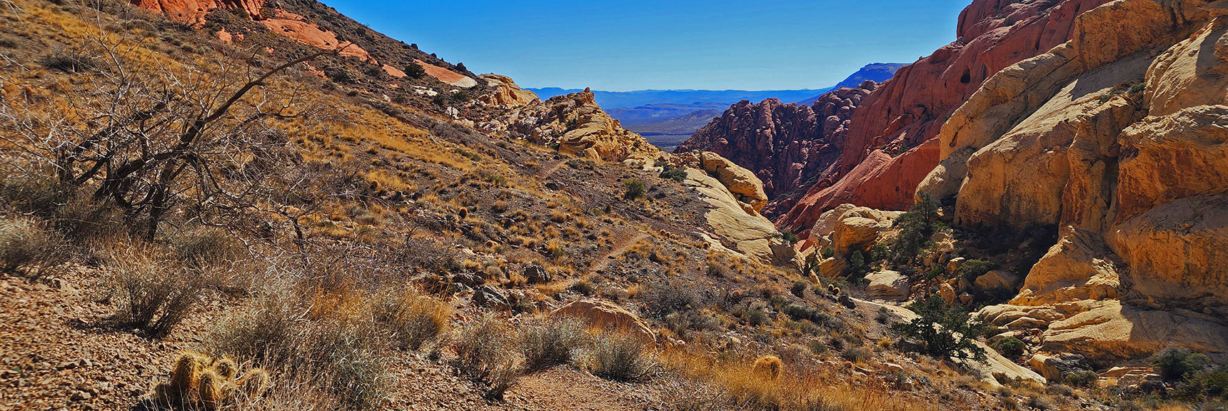 Ash Canyon Trail Appears Ahead | Pink Goblin Loop | Calico Basin, Nevada
