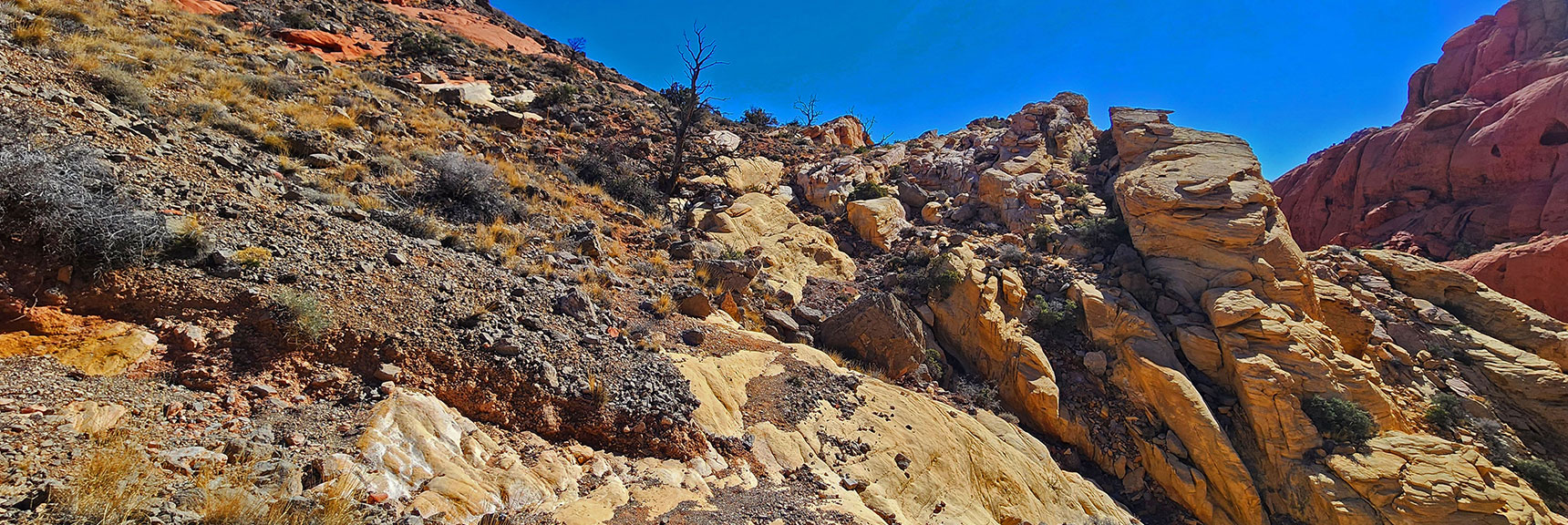 Chose to Ascend to Left. Main Trail Was Probably to the Right! | Pink Goblin Loop | Calico Basin, Nevada