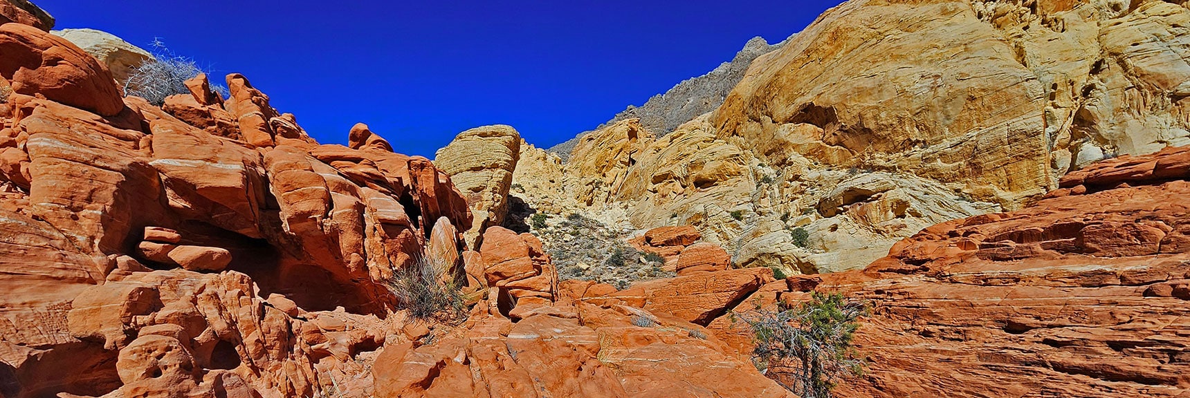 View Back Up Canyon to White Sandstone Area Just Traversed. | Pink Goblin Loop | Calico Basin, Nevada
