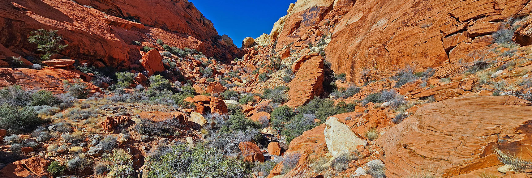 View Up Ash Canyon from Near Lower Opening | Pink Goblin Loop | Calico Basin, Nevada