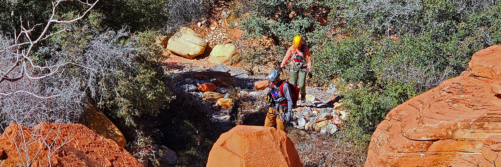 Rock Climbers Now Descending Through the Canyon | Pink Goblin Loop | Calico Basin, Nevada