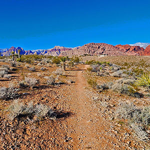 Calico Basin Daily Workout Trails | Calico Basin, Nevada