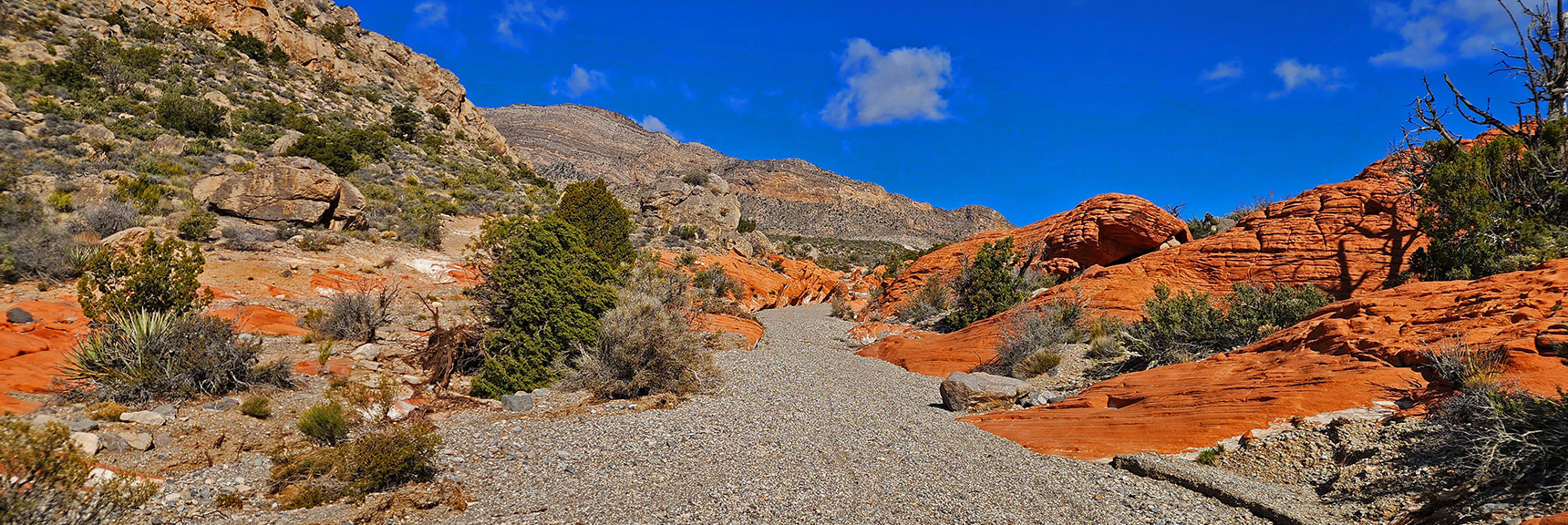 Continuing on Road/Wash Toward North Damsel Peak. Terrain Greening. | Damsel Peak Loop | Gateway Peak | Brownstone Basin, Nevada