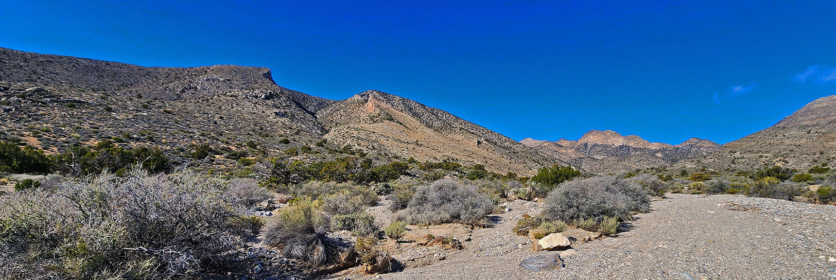 Upper East Side and Northeast Side Much More Gradual. Many Summit Approaches. | Damsel Peak Loop | Gateway Peak | Brownstone Basin, Nevada