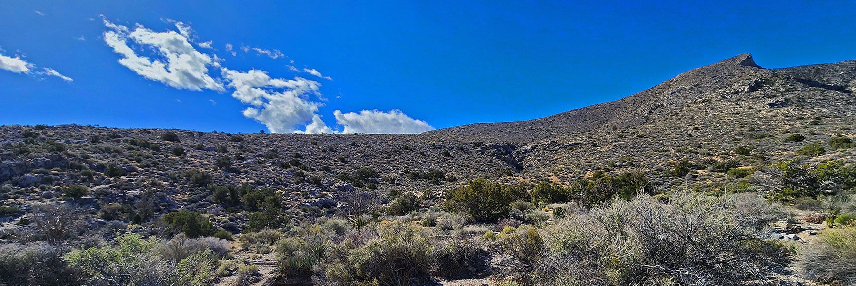 Gradual Summit Slope on Northeast Side of Damsel Peak. | Damsel Peak Loop | Gateway Peak | Brownstone Basin, Nevada