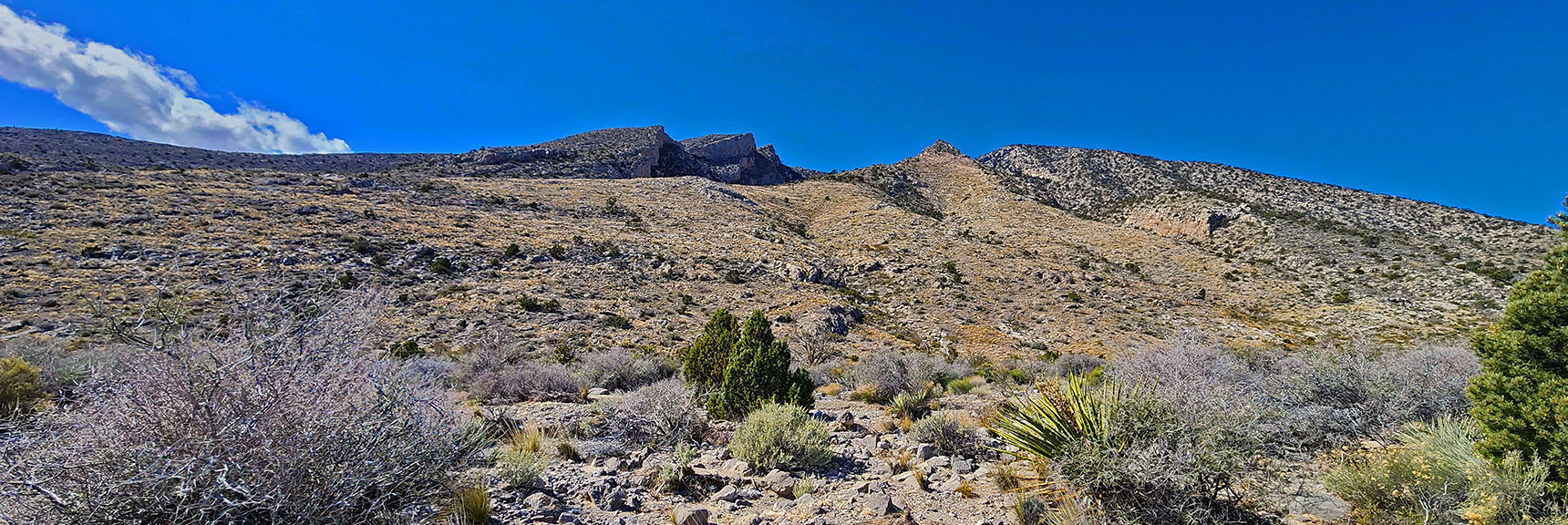 NE Corner of Damsel Peak. Multiple Summit Approaches, But Long Distance to Get Here. | Damsel Peak Loop | Gateway Peak | Brownstone Basin, Nevada