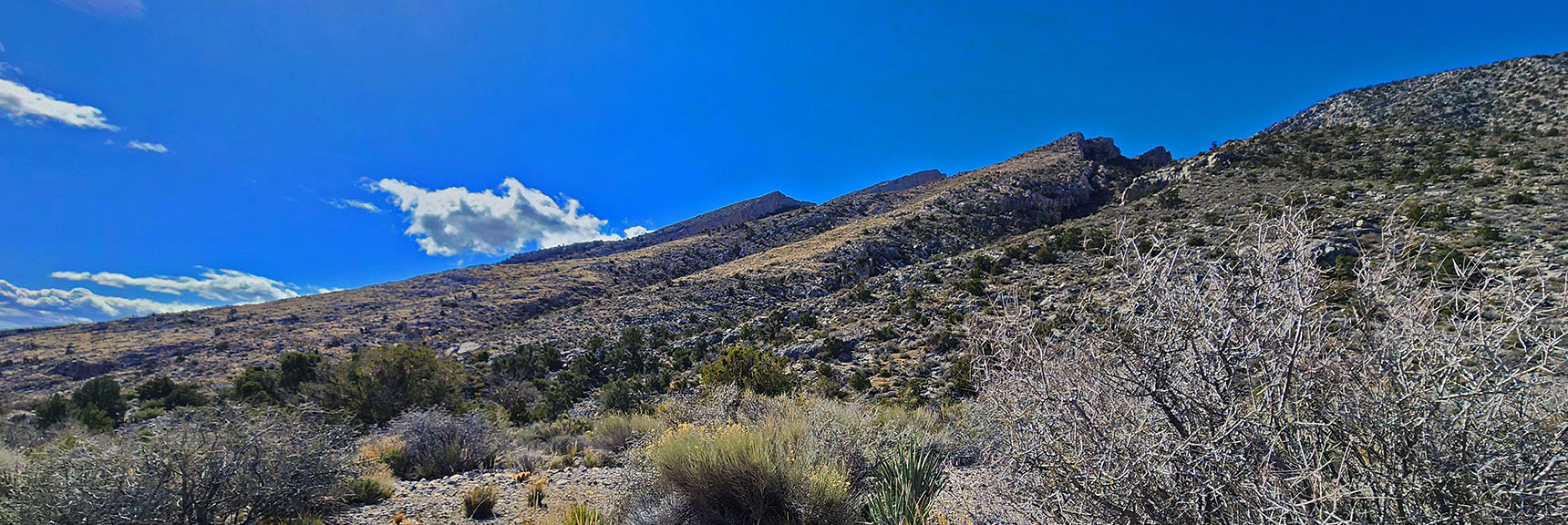 View Back Across NE Corner of Damsel Peak. | Damsel Peak Loop | Gateway Peak | Brownstone Basin, Nevada