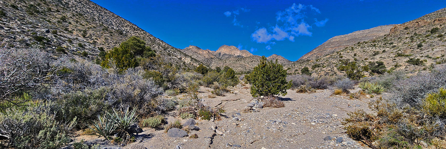 Same Wash/Road Now Rounds to Become Damsel Peak North Wash | Damsel Peak Loop | Gateway Peak | Brownstone Basin, Nevada