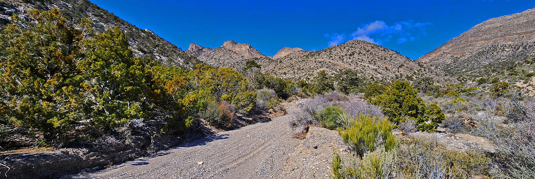 This Road Will Soon End, But the Wash Continues. Cliffs of Gateway Peak Ahead to Left. | Damsel Peak Loop | Gateway Peak | Brownstone Basin, Nevada