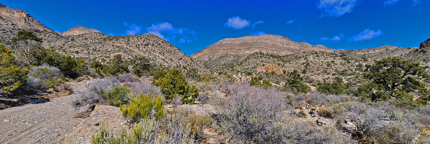 "Little La Madre" (East End of La Madre Ridge) is Ahead to the Right. | Damsel Peak Loop | Gateway Peak | Brownstone Basin, Nevada