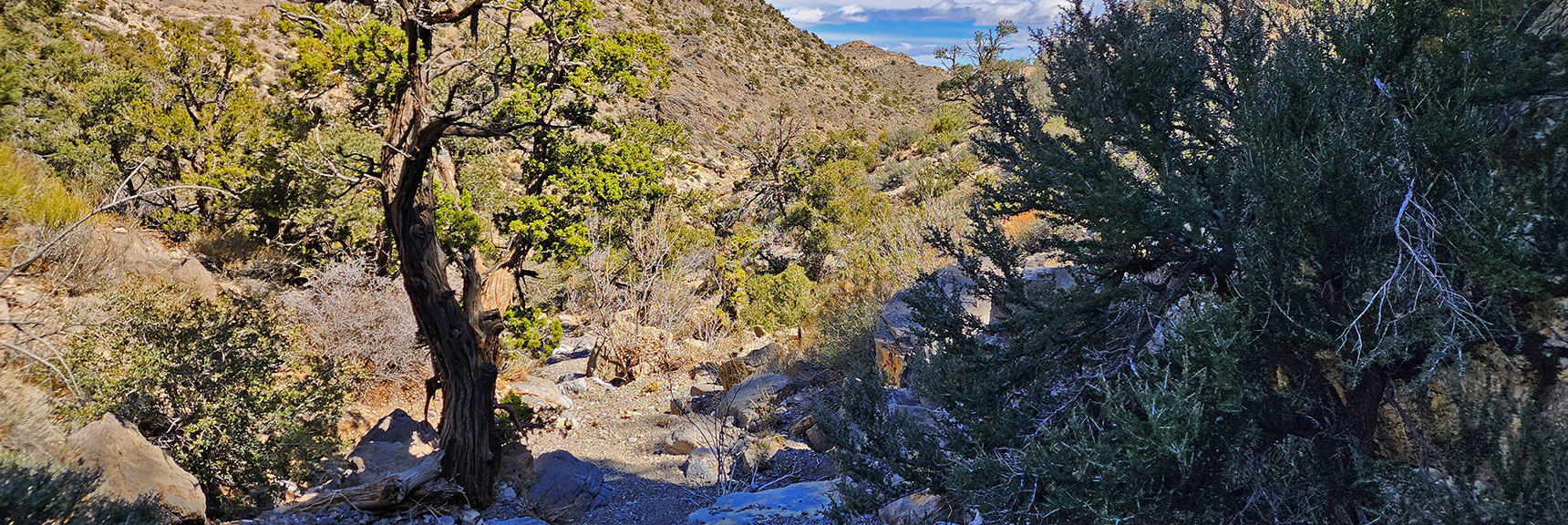 Gradual Wash Continues. Weave Around Brush & Boulders. No Trail. | Damsel Peak Loop | Gateway Peak | Brownstone Basin, Nevada