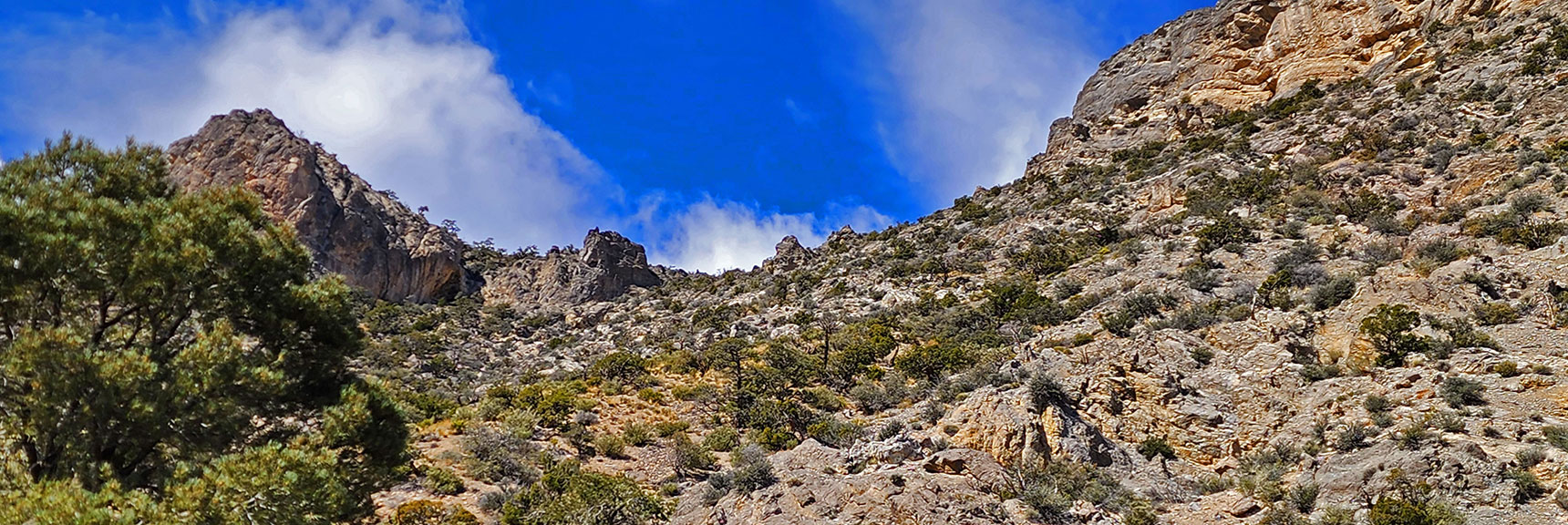 Ascend Steep Saddle Between Gateway Peak East and West Summits. | Damsel Peak Loop | Gateway Peak | Brownstone Basin, Nevada