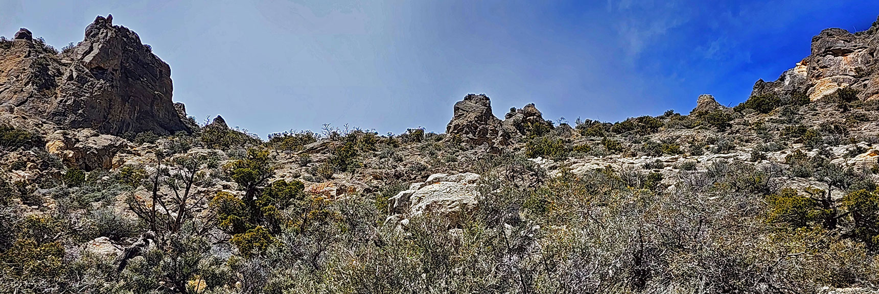 Steeper Loose Rock Ascent Than it Looks. Weave Around Brush, Boulders, Ledges. It's a Walk. | Damsel Peak Loop | Gateway Peak | Brownstone Basin, Nevada