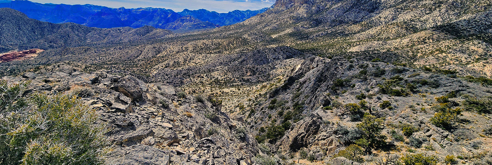 Gradual Descent Gully on West Side of Damsel Peak. Nice Easy Also for Ascent. | Damsel Peak Loop | Gateway Peak | Brownstone Basin, Nevada