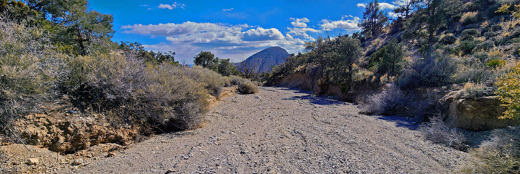 Wash Widens. East Side of Turtlehead Peak Beyond. | Damsel Peak Loop | Gateway Peak | Brownstone Basin, Nevada