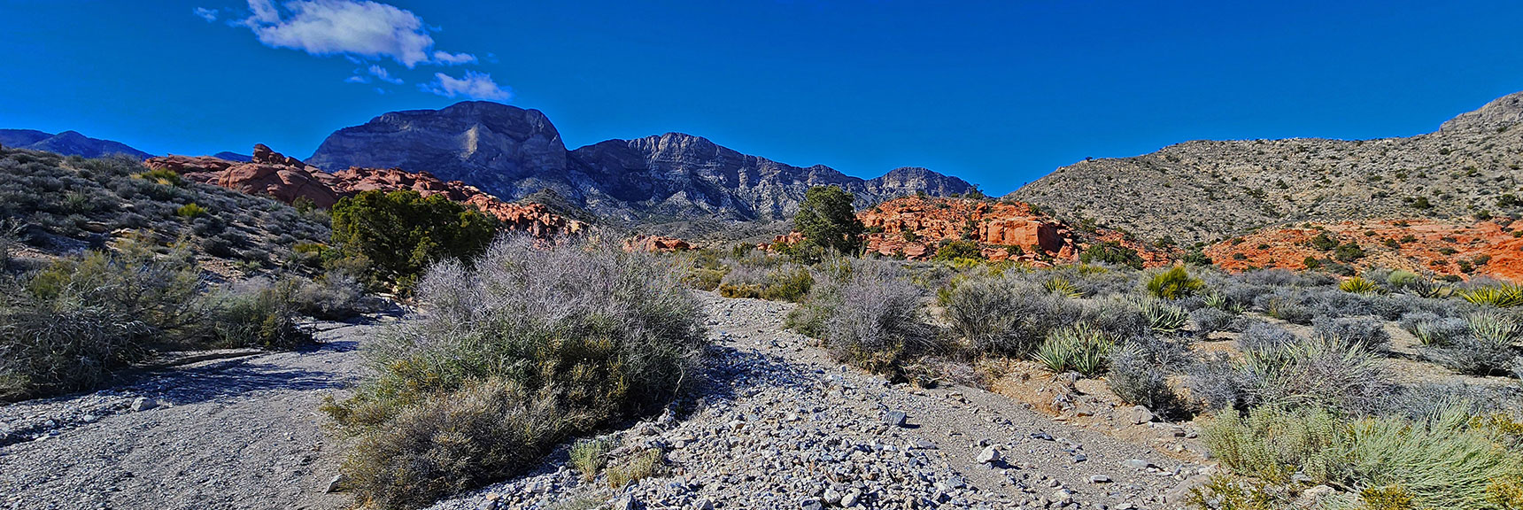 View Back Up Wash to La Madre Mts. Cliffs: El Padre, La Madre, Little La Madre (right). | Damsel Peak Loop | Gateway Peak | Brownstone Basin, Nevada