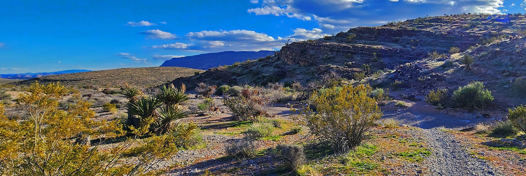 Now Back on Half Wilson Trail. Round Peak 3844, Return to Gene's Trailhead! | Damsel Peak Loop | Gateway Peak | Brownstone Basin, Nevada