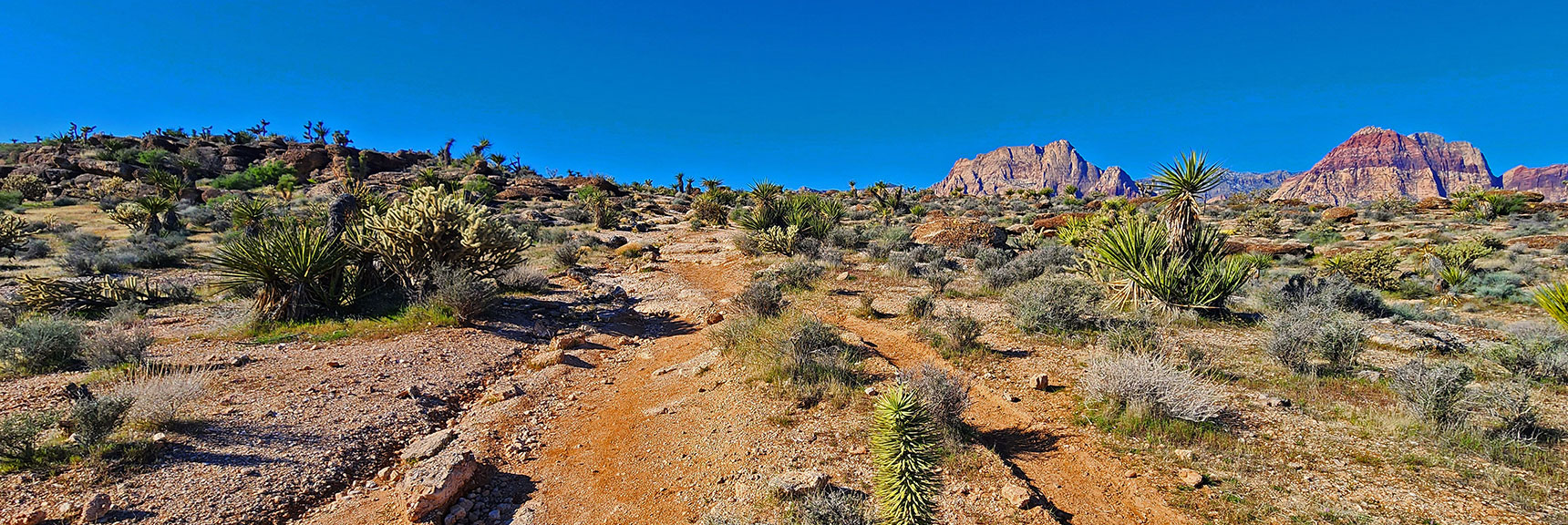 Head Up the Ridge Where You Will Find the Fossil Ridge Trail. | Fossil Canyon | Cowboy Canyon | Blue Diamond Hill, Nevada