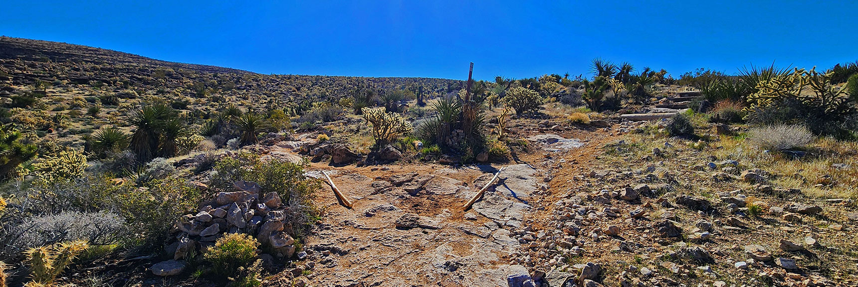 Take Fossil Canyon Trail (left split) About Half Way Up Ridge. Fossil Ridge Trail Continues (right). | Fossil Canyon | Cowboy Canyon | Blue Diamond Hill, Nevada