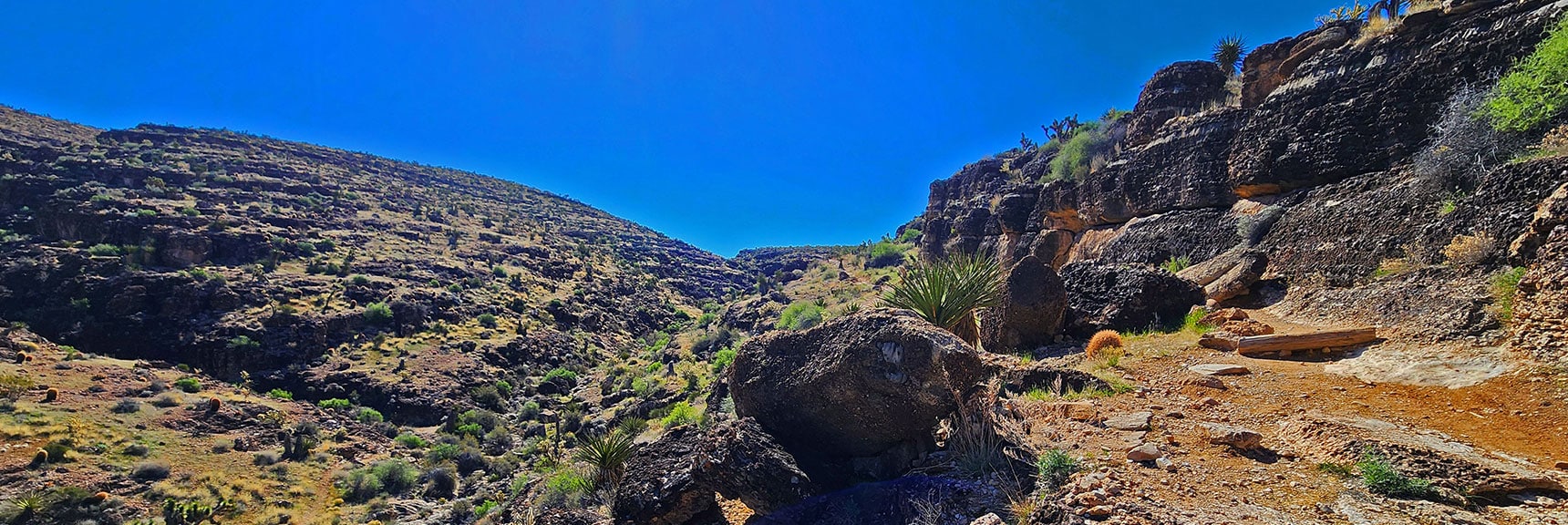 Now on Fossil Canyon Trail. Runs Along Mid-Right Side of Canyon. | Fossil Canyon | Cowboy Canyon | Blue Diamond Hill, Nevada