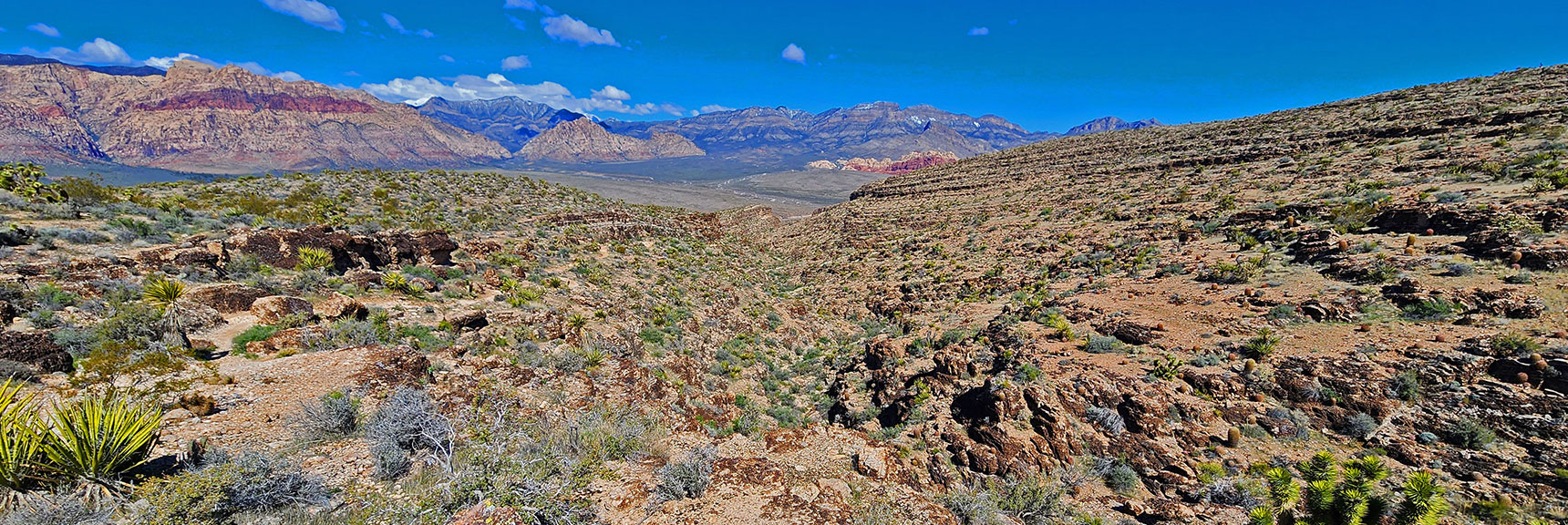 View Back Down from the Upper End of Fossil Canyon. | Fossil Canyon | Cowboy Canyon | Blue Diamond Hill, Nevada