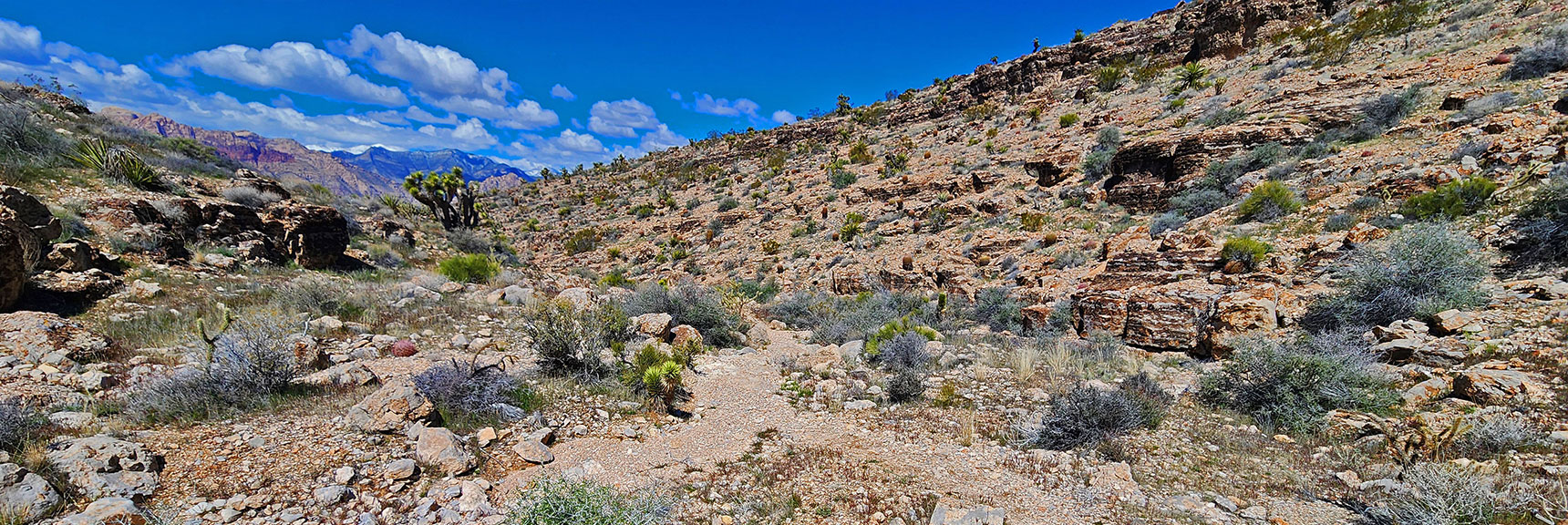Take a Left at Upper End of Fossil Canyon. Cross Over to Upper Cowboy Canyon. | Fossil Canyon | Cowboy Canyon | Blue Diamond Hill, Nevada