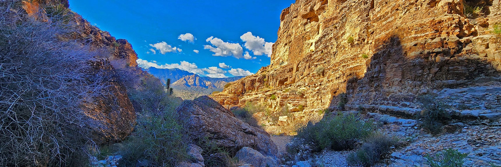 Approaching the Three Main Cowboy Canyon Caves. | Fossil Canyon | Cowboy Canyon | Blue Diamond Hill, Nevada