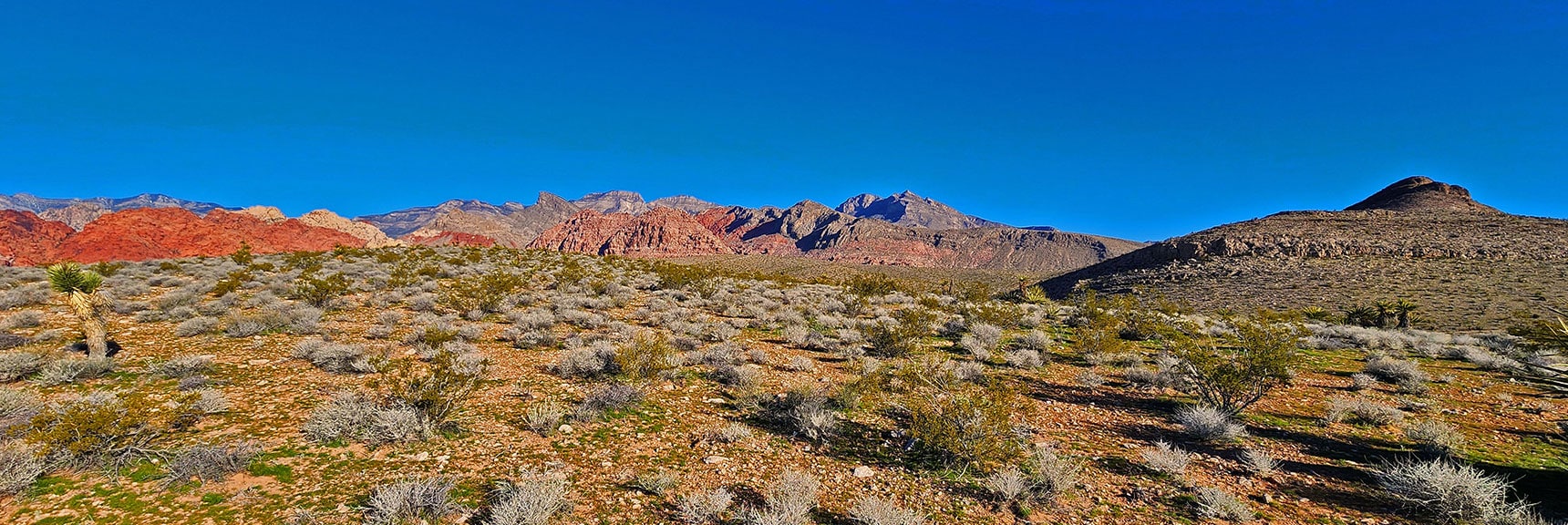 Top First Hill, Set Sites on Target: Gray Cap Ridge Between Damsel Peak and Kraft Mt. | Gray Cap Ridge / Brownstone Basin Loop | La Madre Mountains Wilderness, Nevada