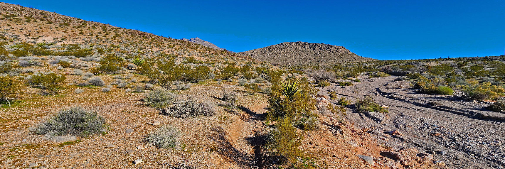 Half Wilson Trail Ends on a Brownstone Basin Wash. Round Right Side of Next Hill. | Gray Cap Ridge / Brownstone Basin Loop | La Madre Mountains Wilderness, Nevada