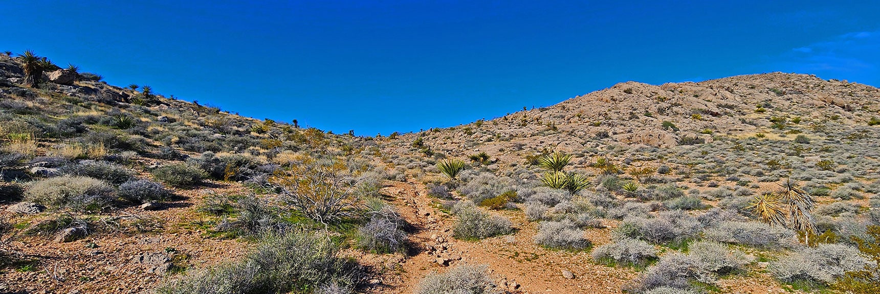 Ascend to Lower Gray Cap Ridge Saddle. | Gray Cap Ridge / Brownstone Basin Loop | La Madre Mountains Wilderness, Nevada