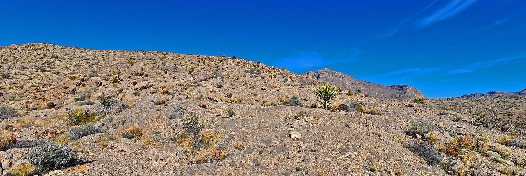 Locate Rock-Lined Lower Gray Cap Ridge Trail Near Calico Basin Edge of Saddle. | Gray Cap Ridge / Brownstone Basin Loop | La Madre Mountains Wilderness, Nevada