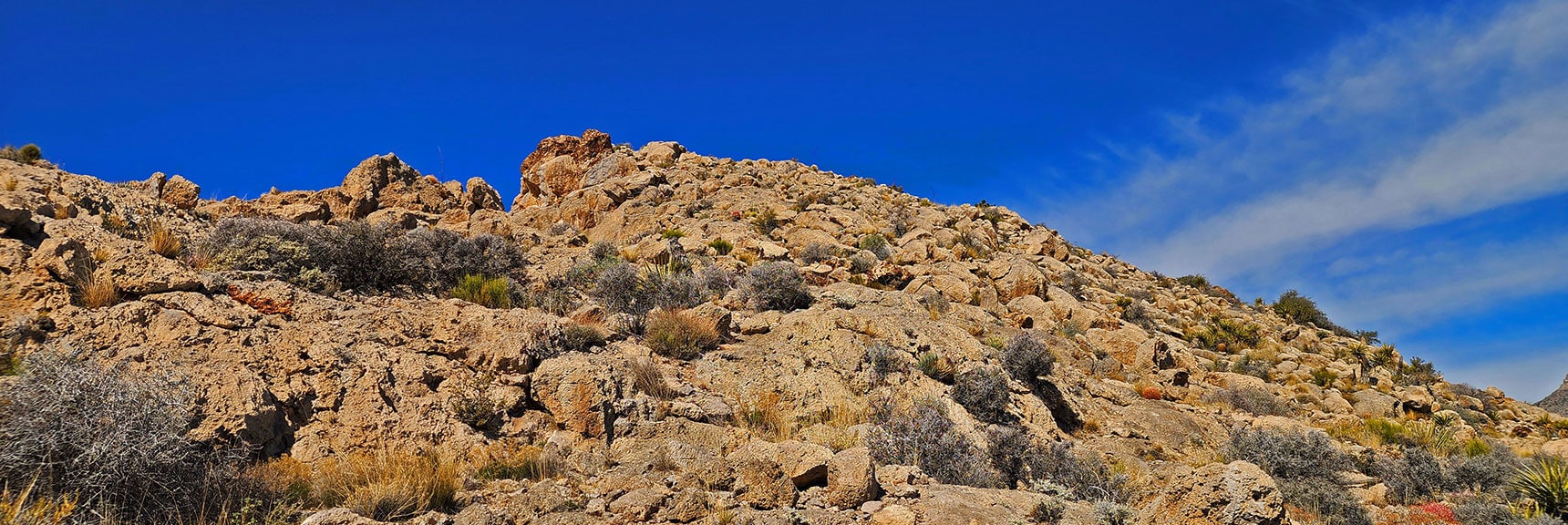 Easily Weave Your Way Through Boulders, Circle Right Side of Reddish Boulder Ahead. | Gray Cap Ridge / Brownstone Basin Loop | La Madre Mountains Wilderness, Nevada