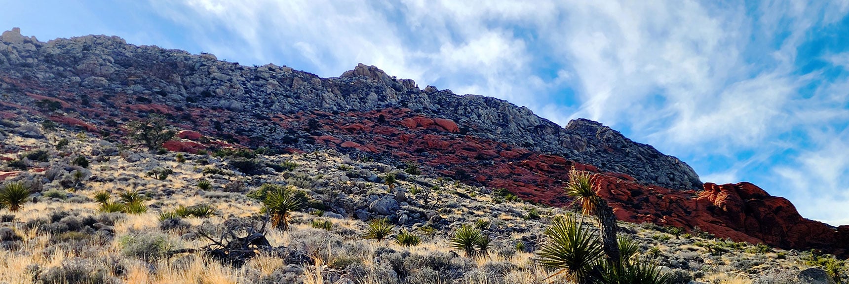 View Back Up to Gray Cap Ridgeline | Gray Cap Ridge / Brownstone Basin Loop | La Madre Mountains Wilderness, Nevada