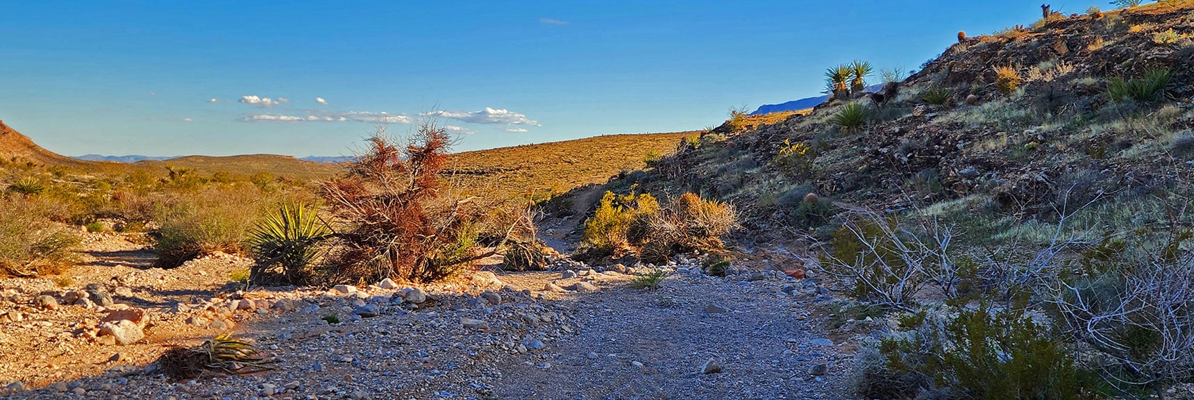 Half Wilson Trail Connection at East Base of Peak 3844 Hill. | Gray Cap Ridge / Brownstone Basin Loop | La Madre Mountains Wilderness, Nevada