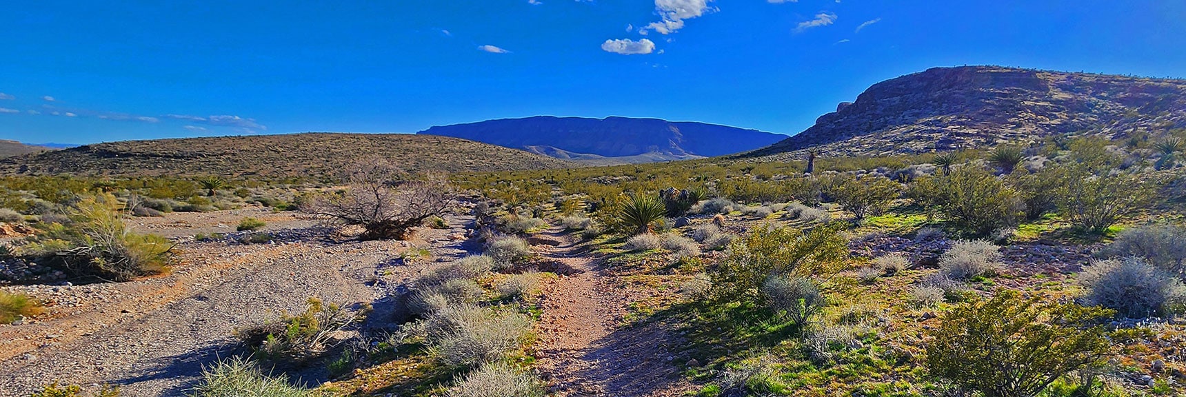 Return to Gene’s Trailhead on Half Wilson Trail Around Base of Peak 3844 Hill. | Gray Cap Ridge / Brownstone Basin Loop | La Madre Mountains Wilderness, Nevada