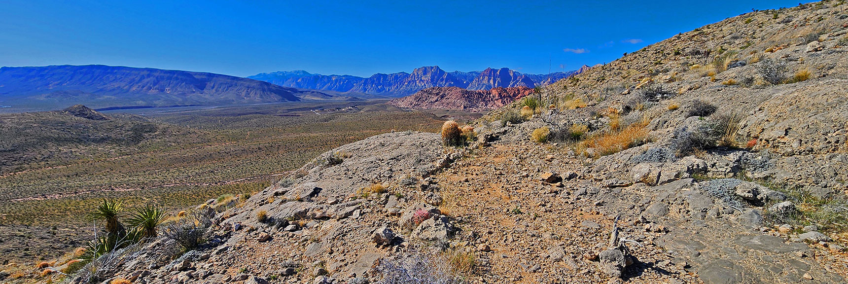 Find a Rock-Lined Trail on the Ridgeline: "Gray Cap Lower Ridgeline Trail". | Gray Cap Ridge Southeast Summit | La Madre Mountains Wilderness, Nevada